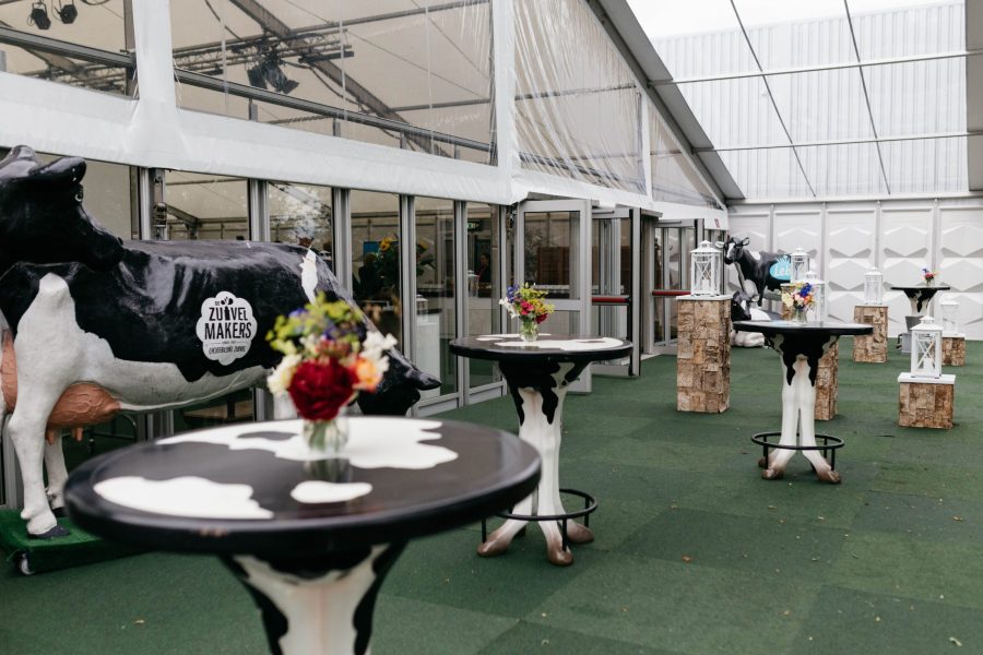 IMG_5377 silvia falcomer